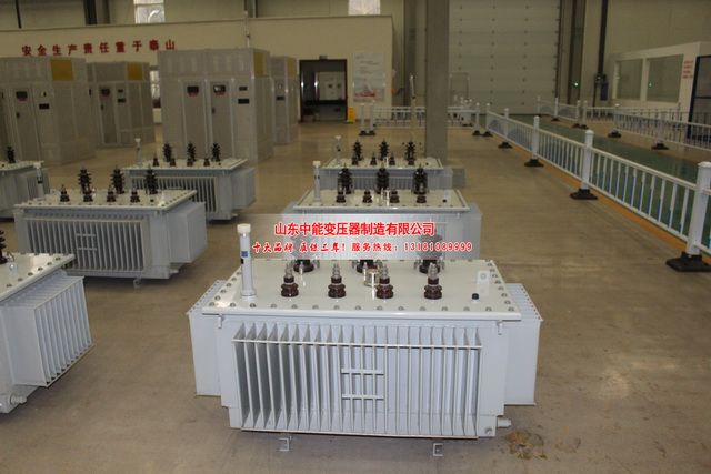 都兰S20变压器
